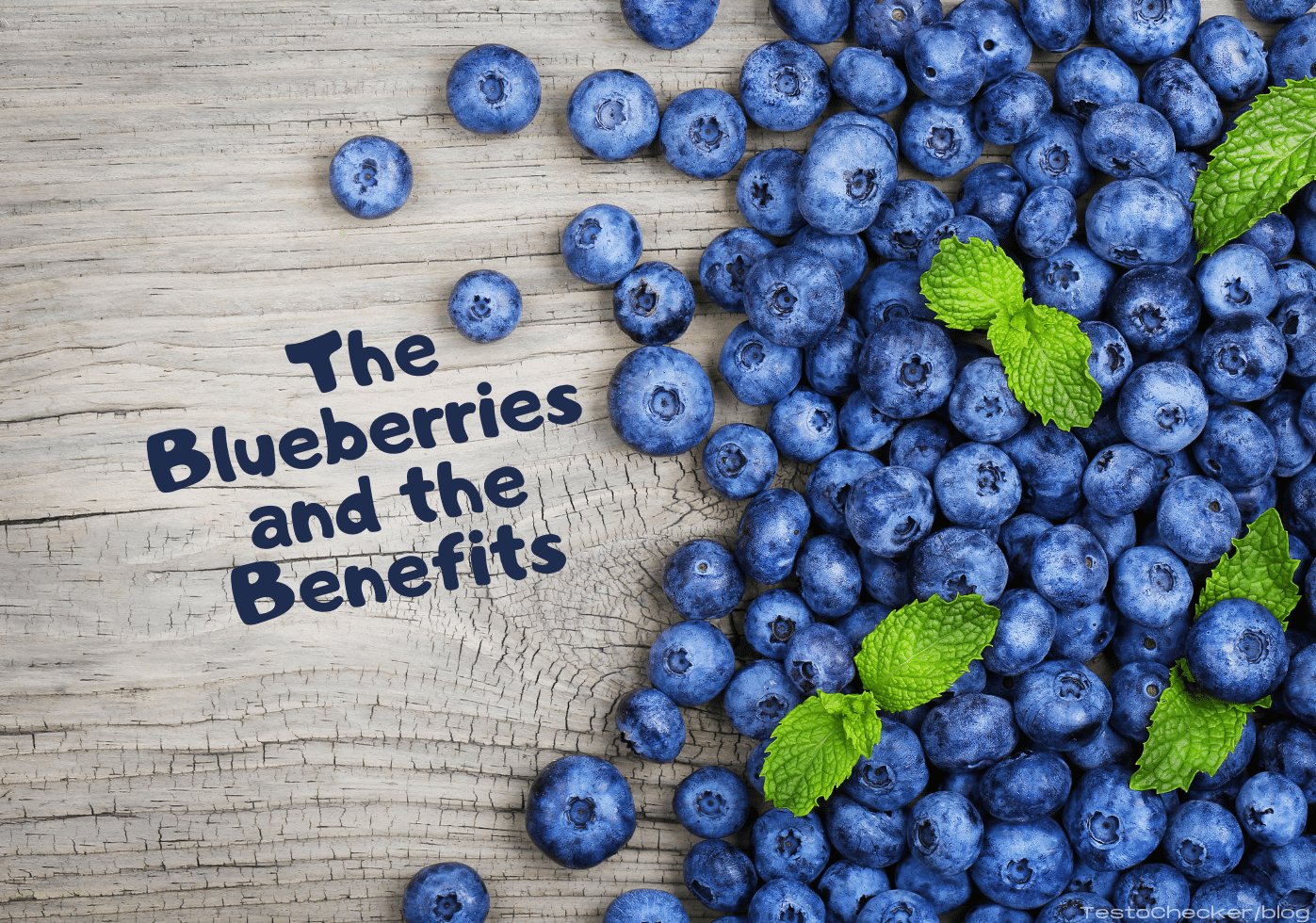 Benefits blueberry 5 Health