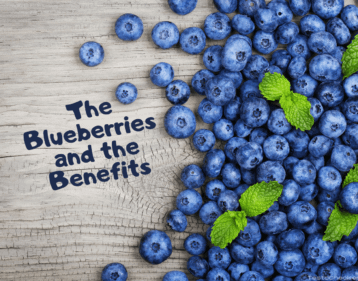Blog Post main banner displaying Blueberries