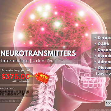 Neurotransmitters Test - Intermediate